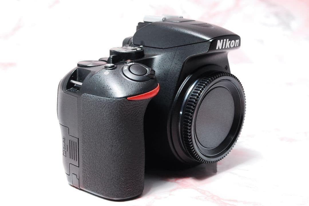 Nikon D3500 345433
