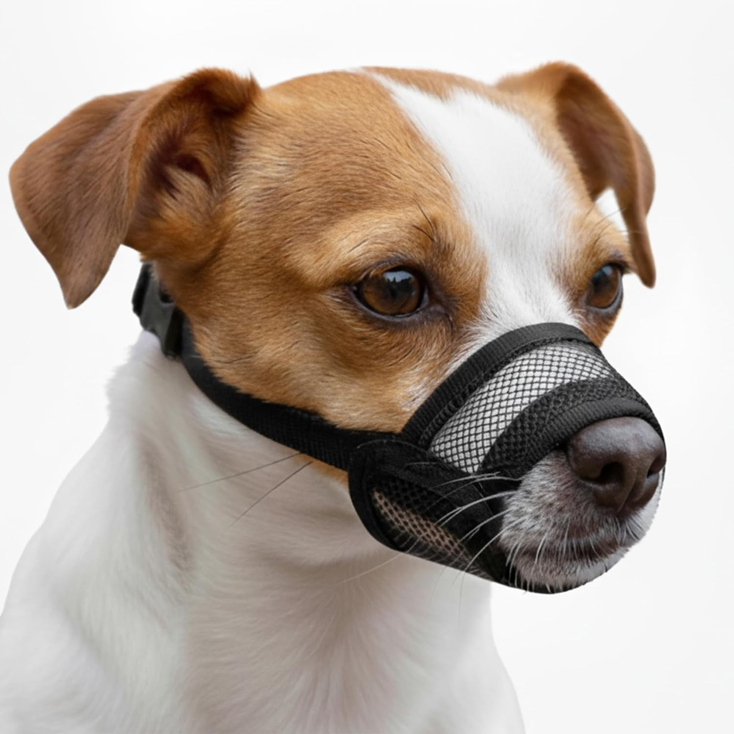 Dog Muzzle for Small Dogs - Soft Air Mesh Small Dog Muzzle | Perfect for Barking