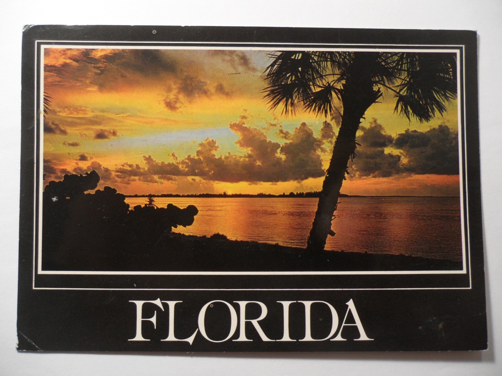 STAMPMART : USA BEAUTIFUL TROPICAL SUNSET IN FLORIDA USED POSTCARD