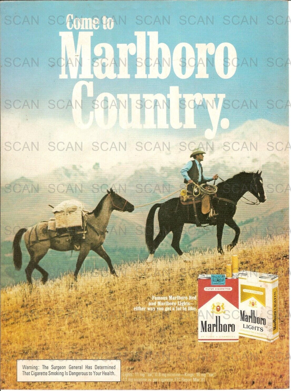 1981 Marlboro Cigarettes Vintage Magazine Ad  Marlboro Man and Horses