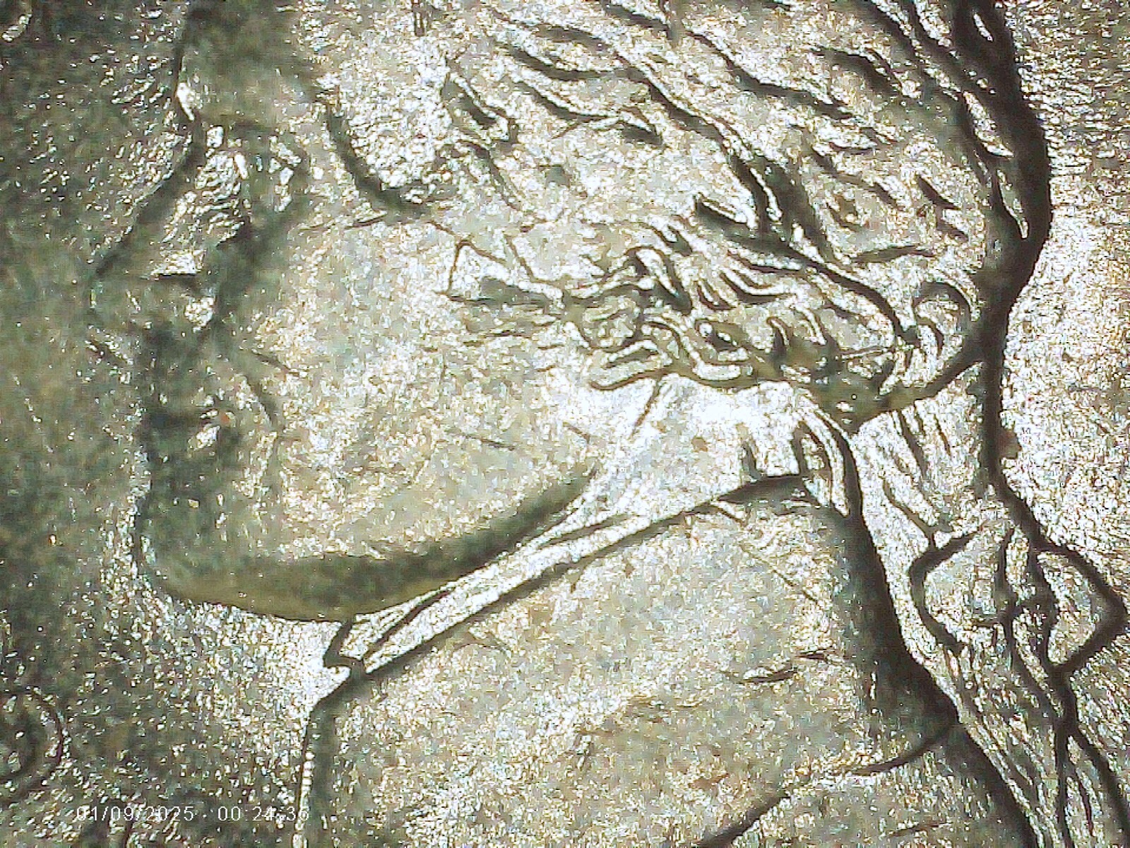 1994-P Jefferson Nickel DDR DDO Errors VF Missing FS