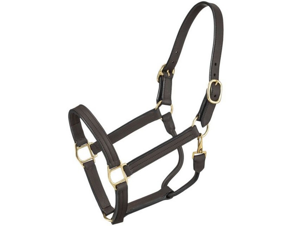 Royal King Western Halter Premium Leather Snap Dark Oil 44-1050