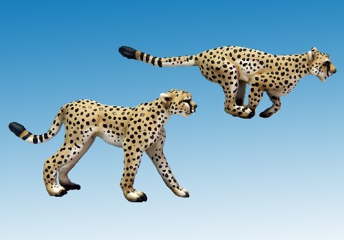 Africa: Cheetahs by North Star