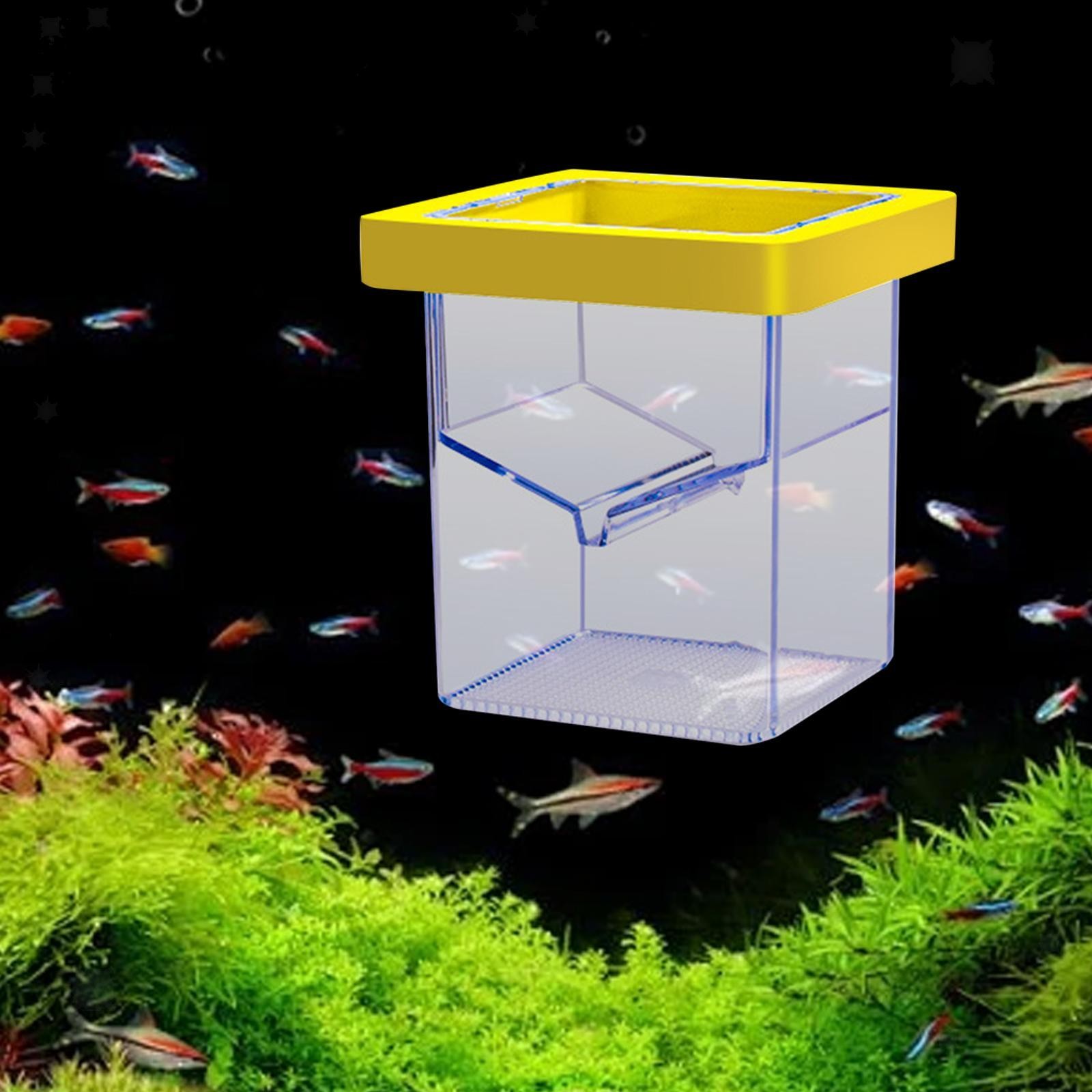 Fish Breeding Isolation Box Fish Isolation Box Floating Square Acrylic
