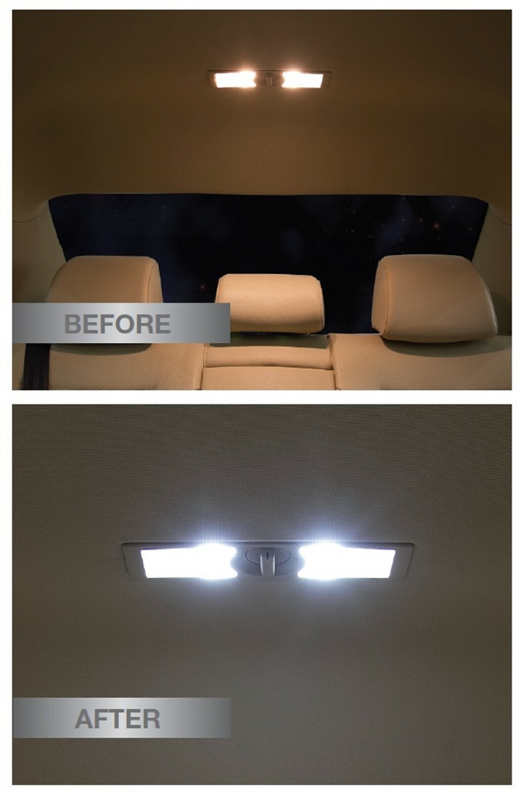 Sylvania Premium LED Light De3175 White Two Bulbs Interior Dome Replacement Lamp