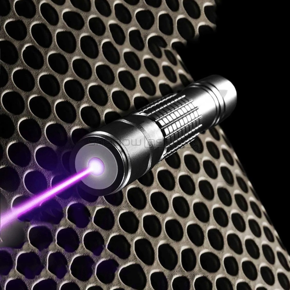 PX2 405nm Adjustable Focus Purple Flashlight Blue Violet Beam Low Light US