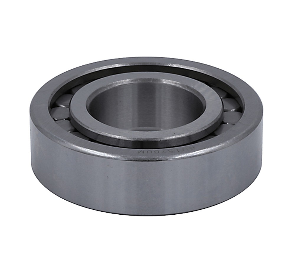 Cylindrical Bearing 1.37" ID 2.83" OD RU1570UM 1228F552 401HD100 98375 BS225977