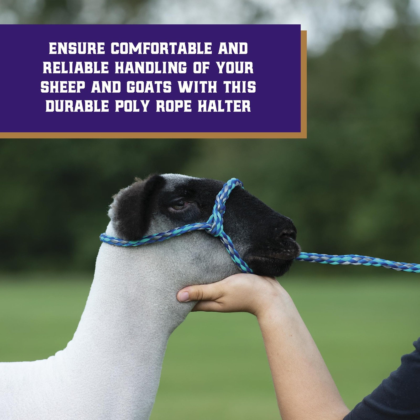 Poly Rope Sheep Halter Modern Braid Adjustable Lamb Lead Showing Supplies