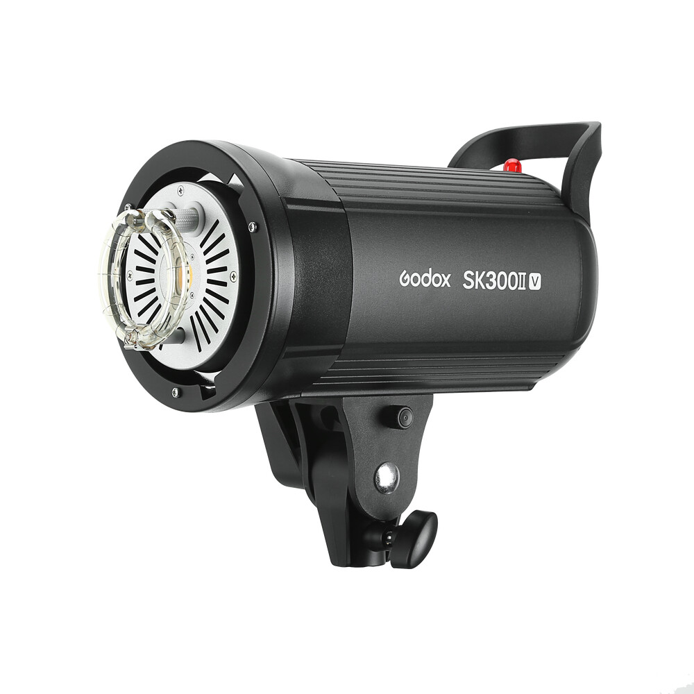 Godox SK300II-V Studio Strobe Flash with Reflector+60*90cm Grid Softbox+2M Stand