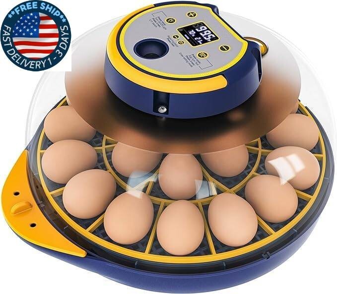 Incubadora de 21 huevos para incubar pollos incubadora con giro automático.neuvo