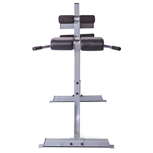 CAP Strength Roman Chair, Gray Assorted Colors