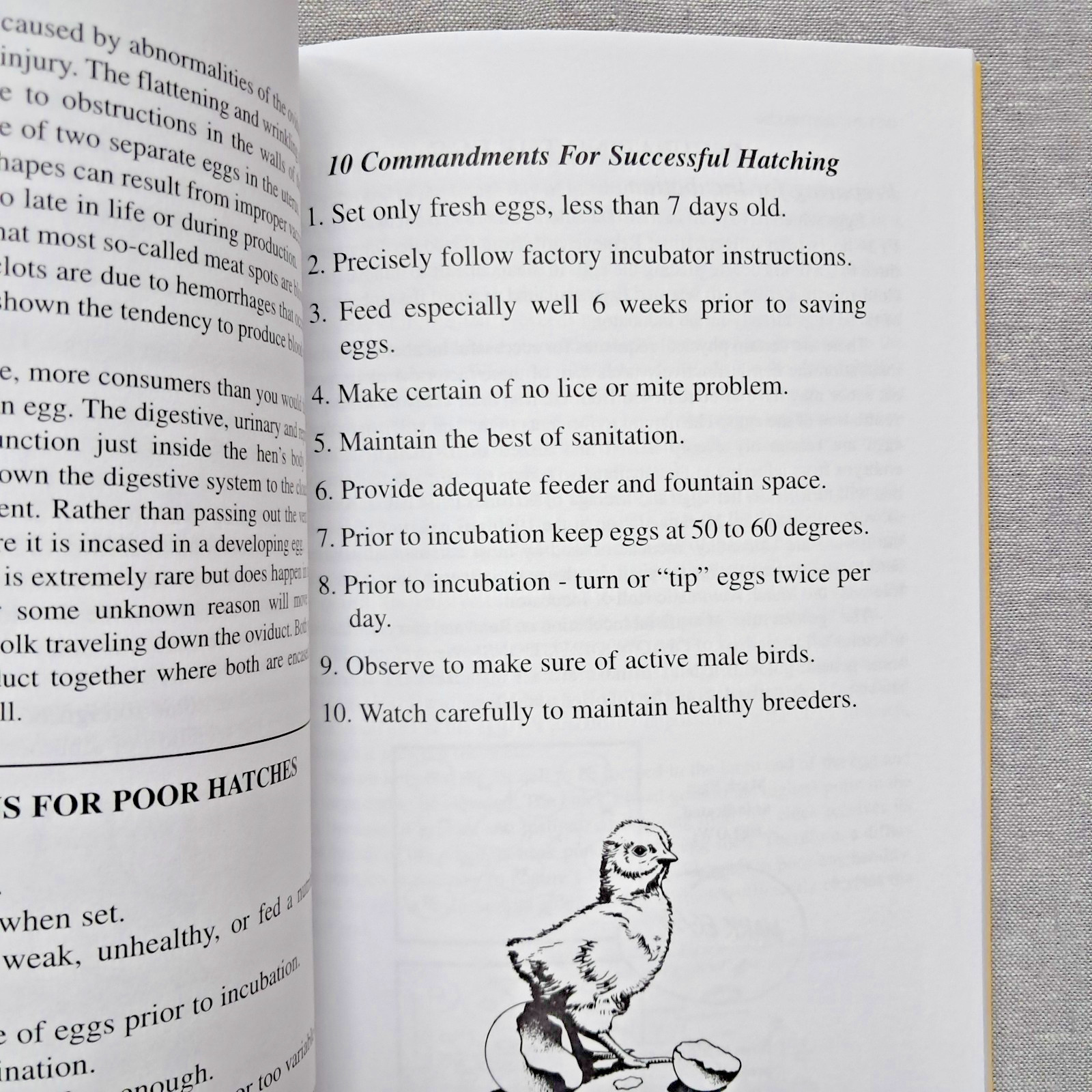 A Guide to Better Hatching Janet Stromberg
