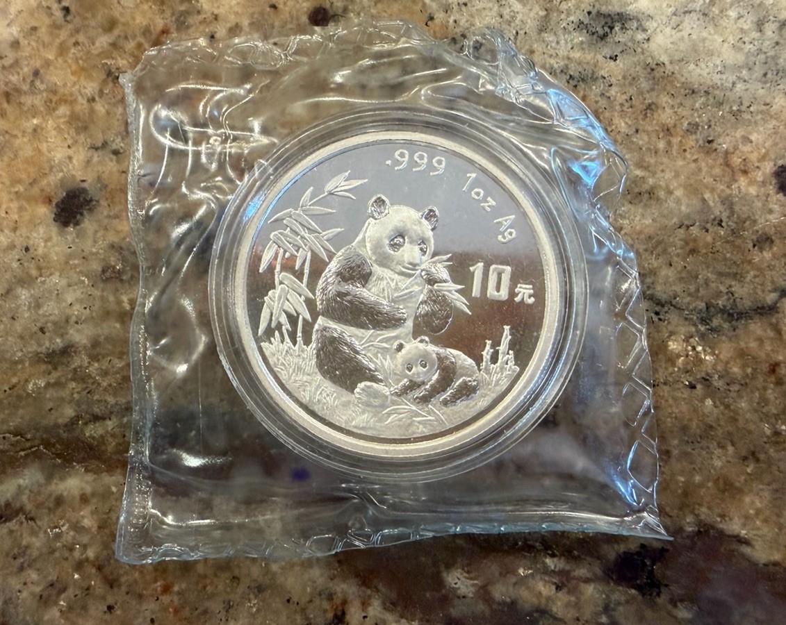 1996 1oz 10 Yuan China Silver Panda Coin (Large Date) BU in Capsule