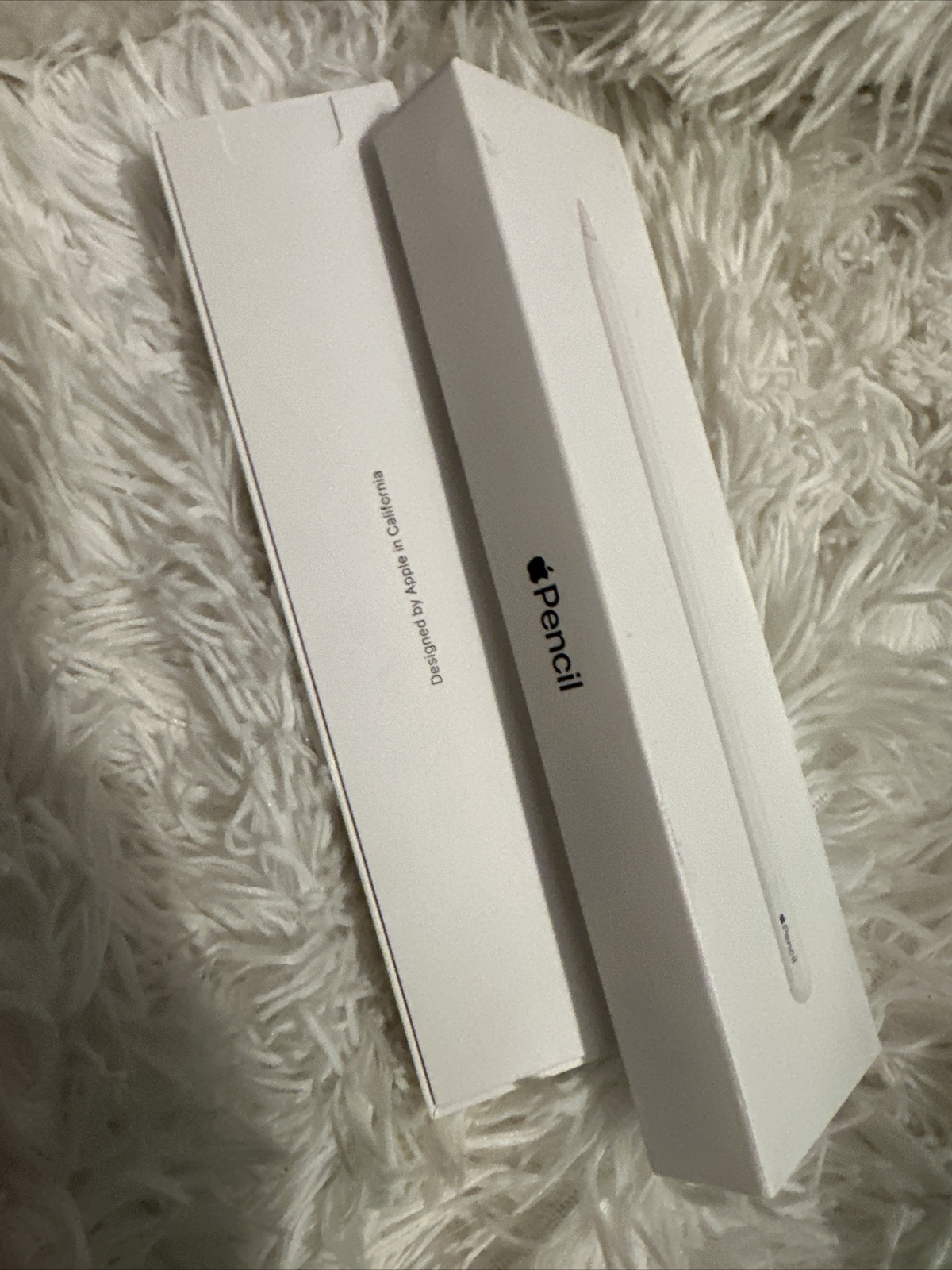 Apple Pencil (2nd Gen)