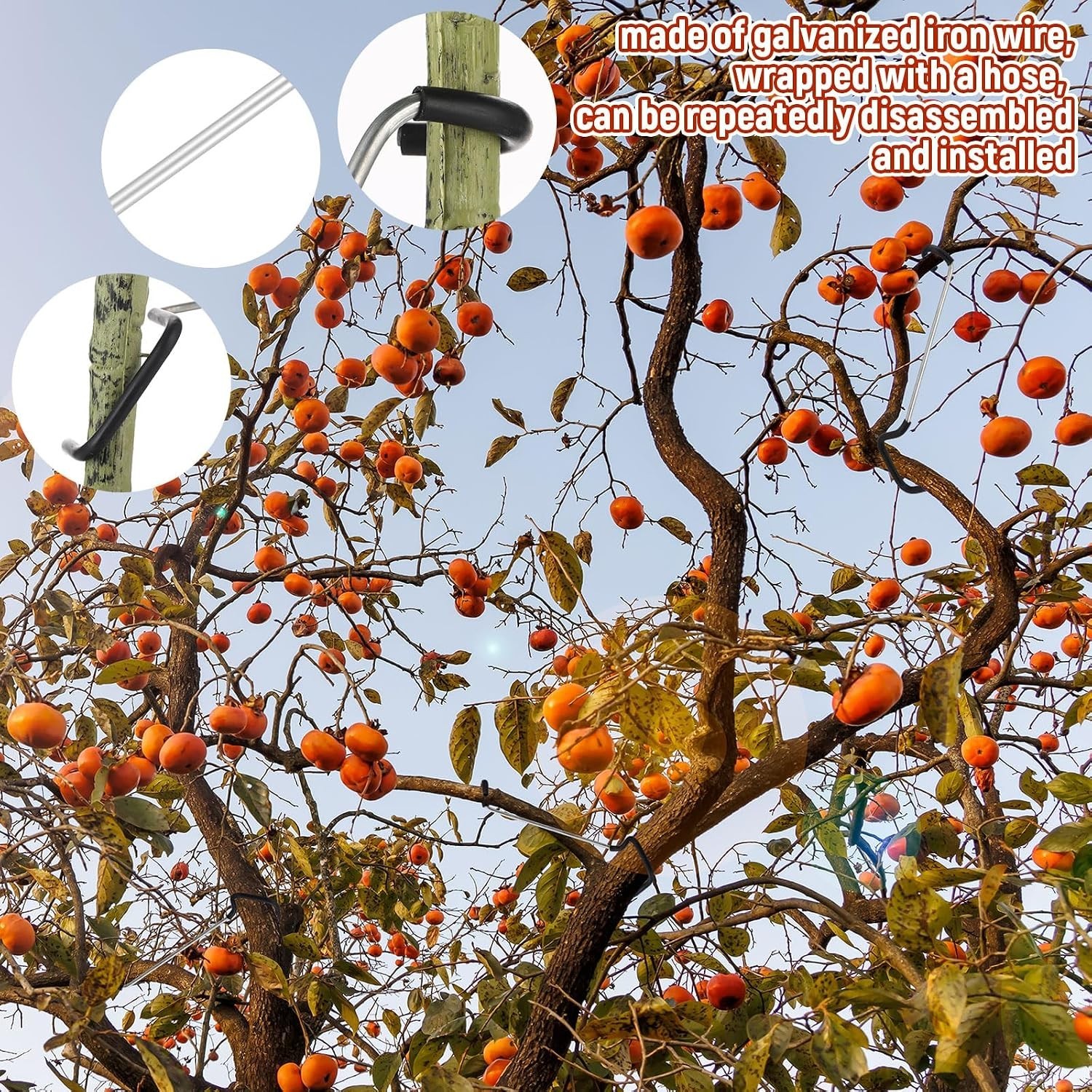 Reusable 7-Inch Branch Spreader for Fruit Trees - Easy Installation & Protection