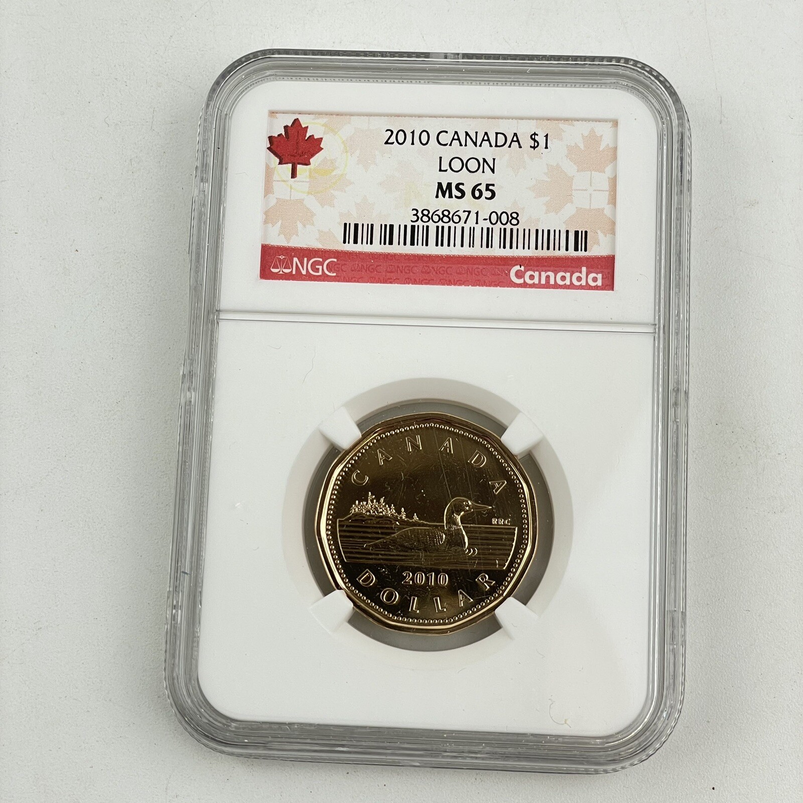 2010 Loon Canada $1 One Dollar MS 65 MS65 NGC Graded