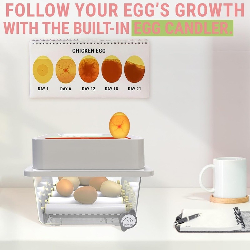 Automatic Egg Incubator 12 Eggs Turner Candler Temperature Control Easy Use