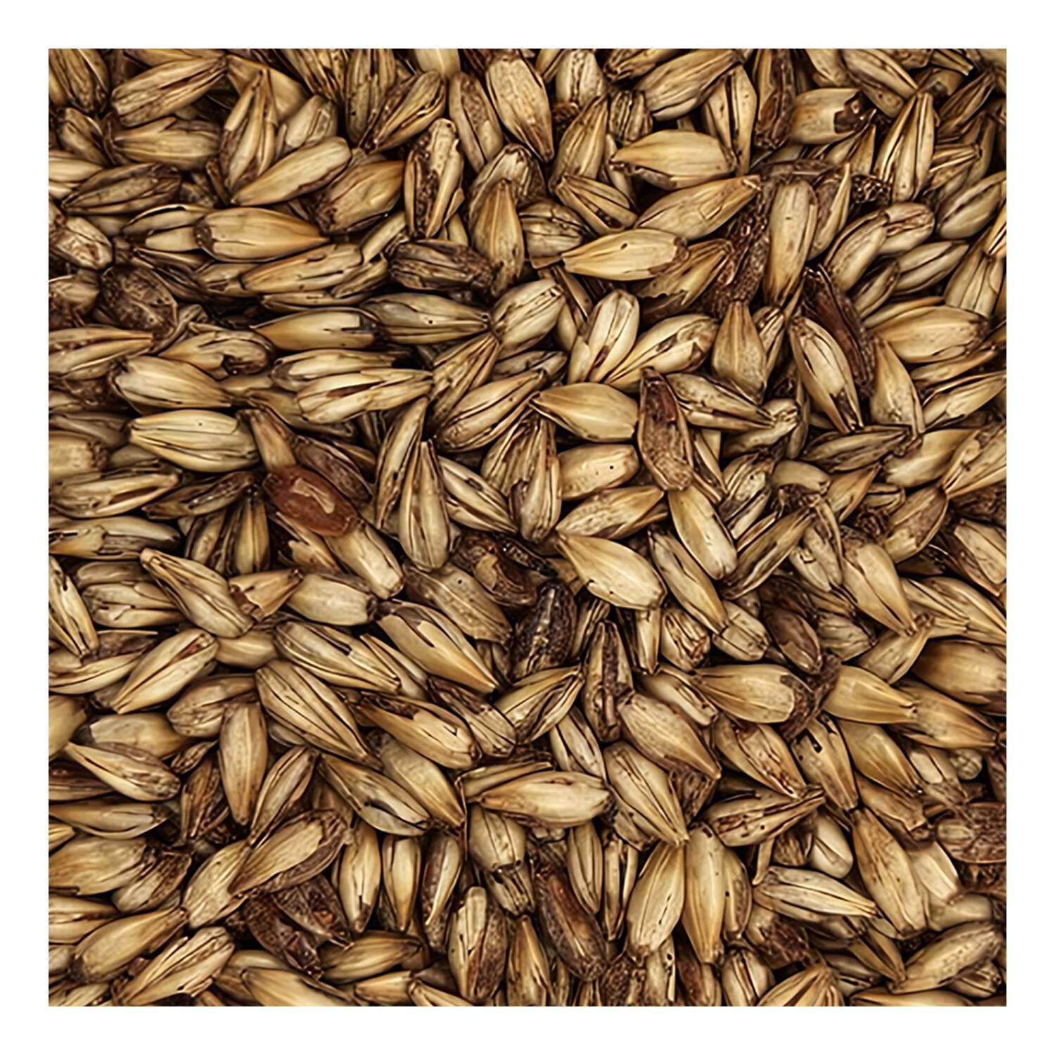 Home Brew Ohio Caramel 10L Grain 1lb