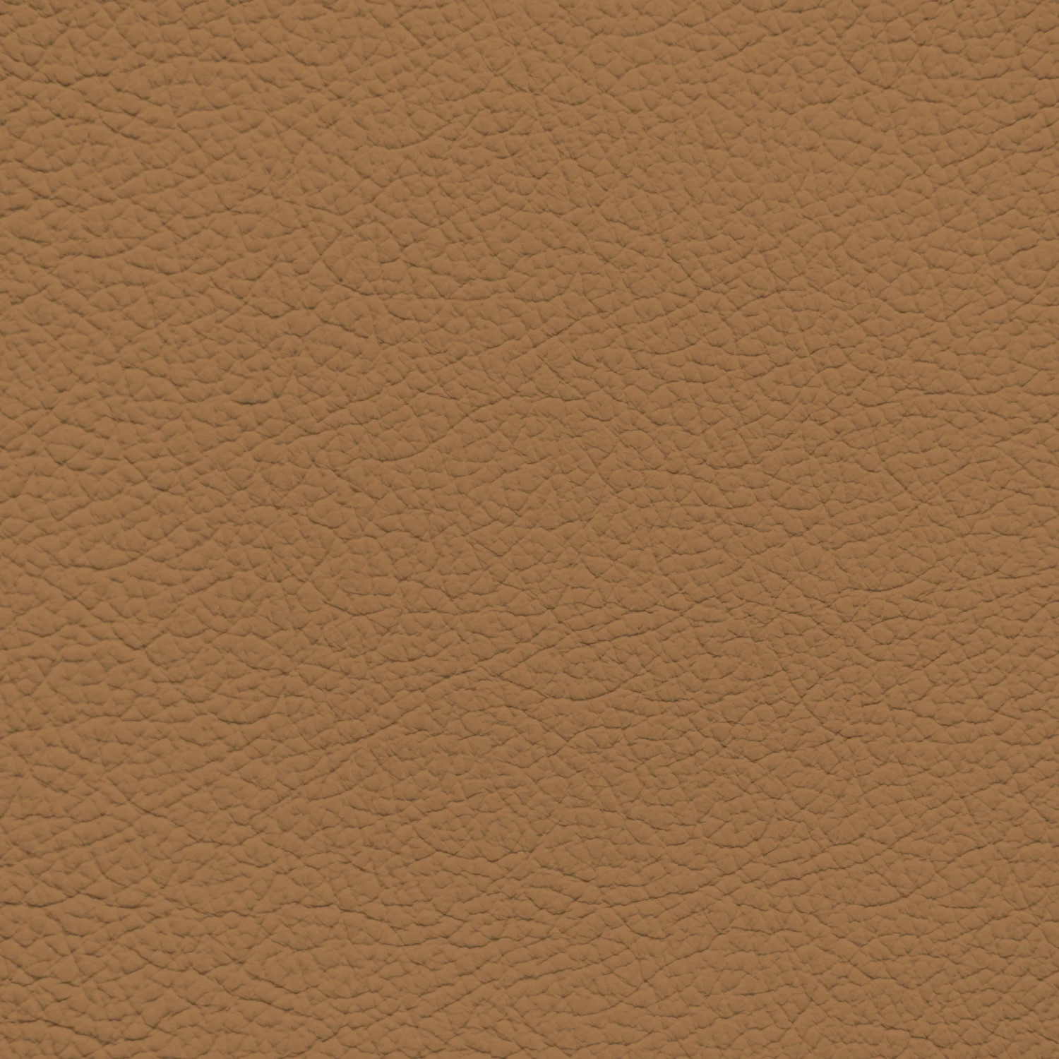 Jaguar Cinnamon Leather Dye