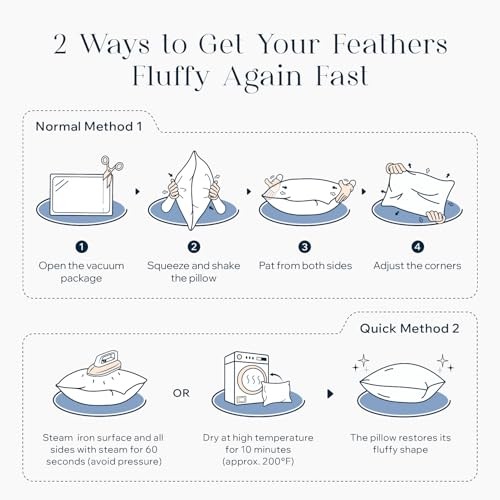 Feather Pillow Inserts, 100% Down Feather Throw 18" x 18" (Pack of 2) White