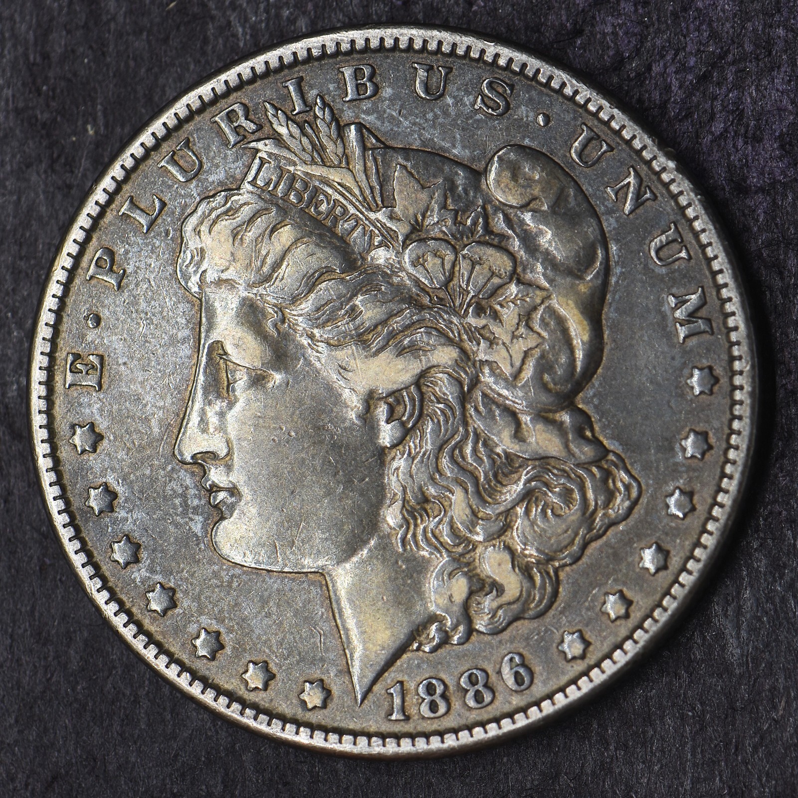 1886-P "Dark Toned" Morgan Silver Dollar $1 - COINGIANTS -
