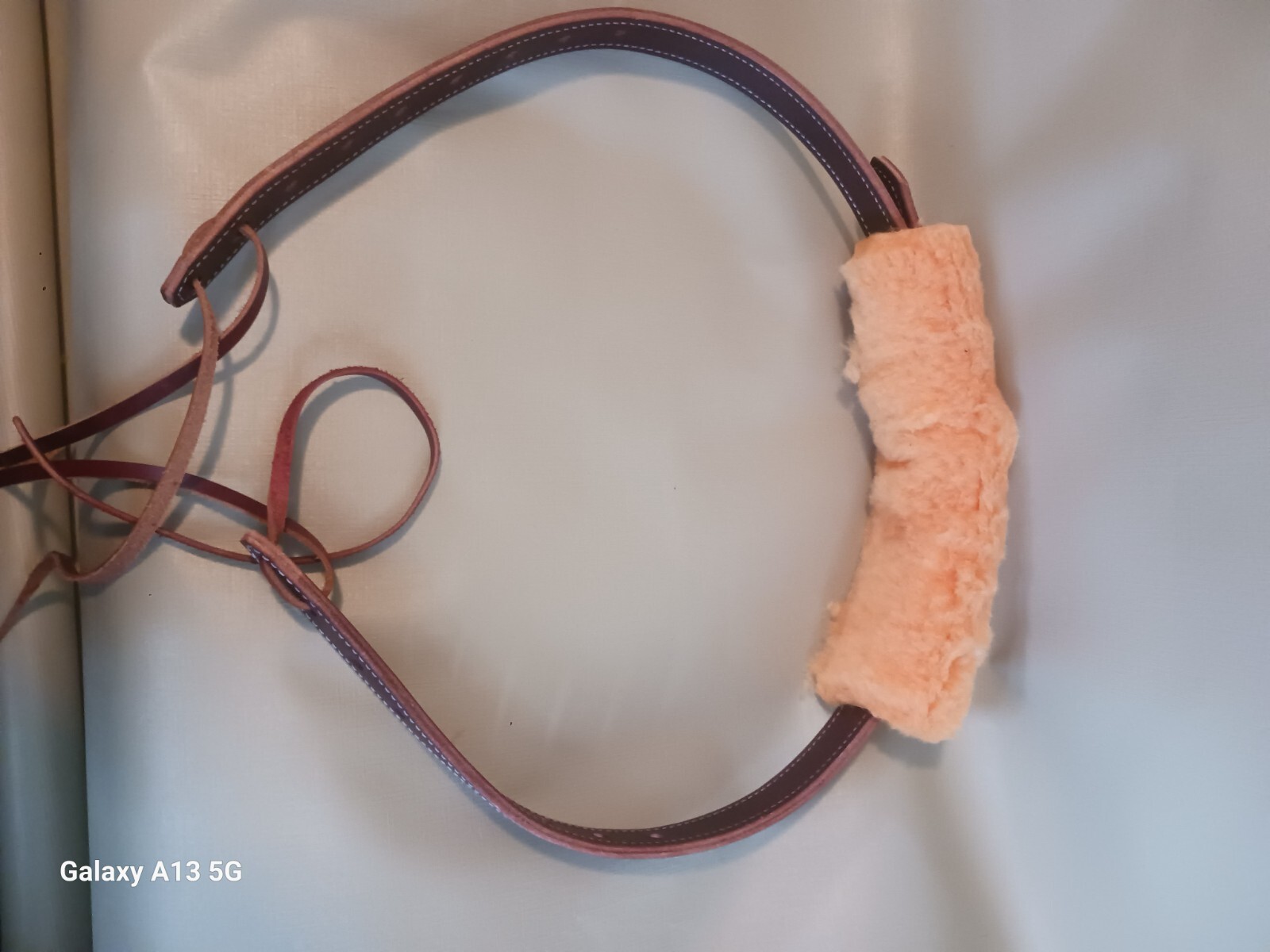 Trick Riding Drag Strap/Hippo Combo