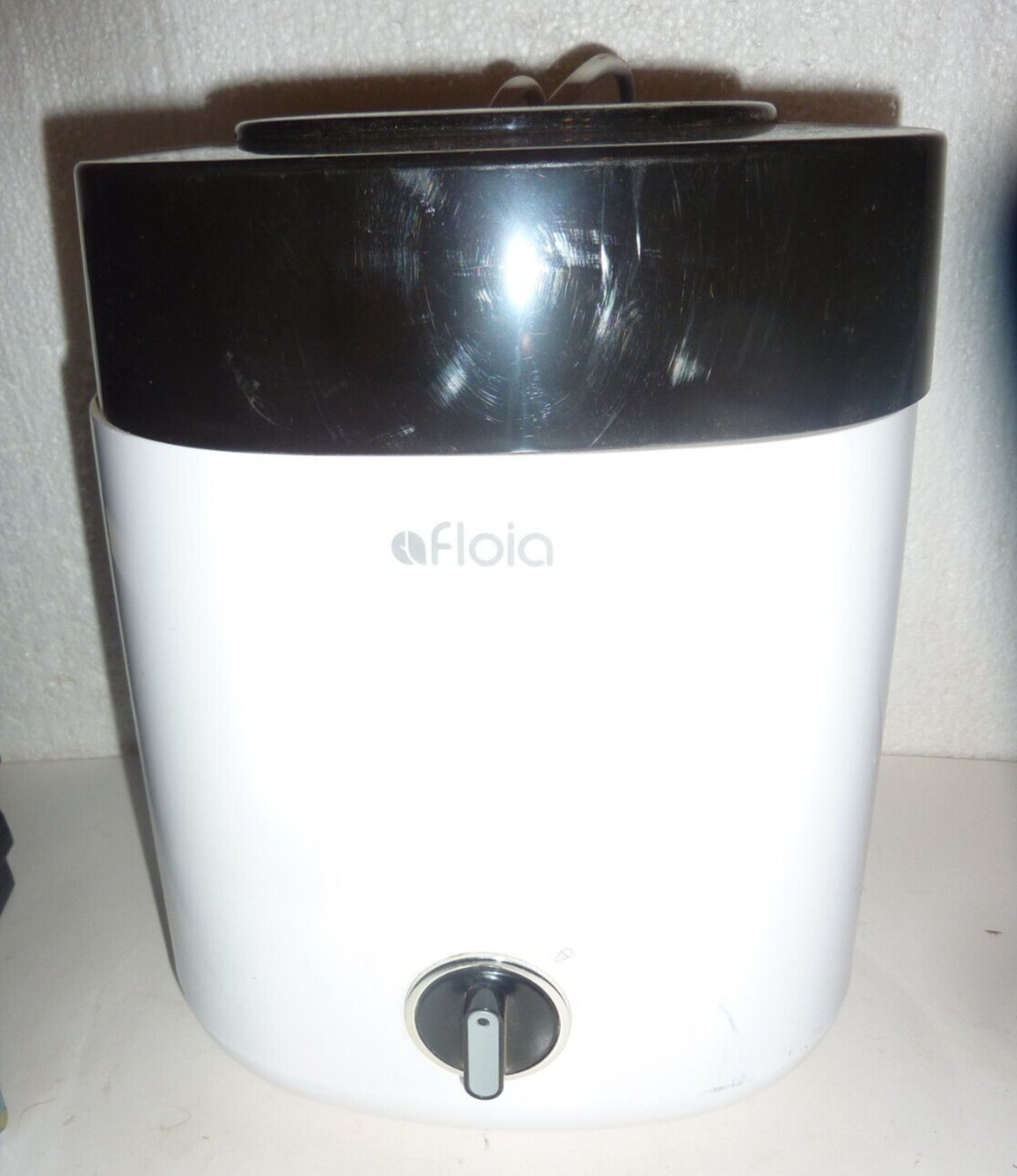 Afloia Ice Cream Maker Low Noise Power Ice Cream Machine for Frozen Fruit Sorbet