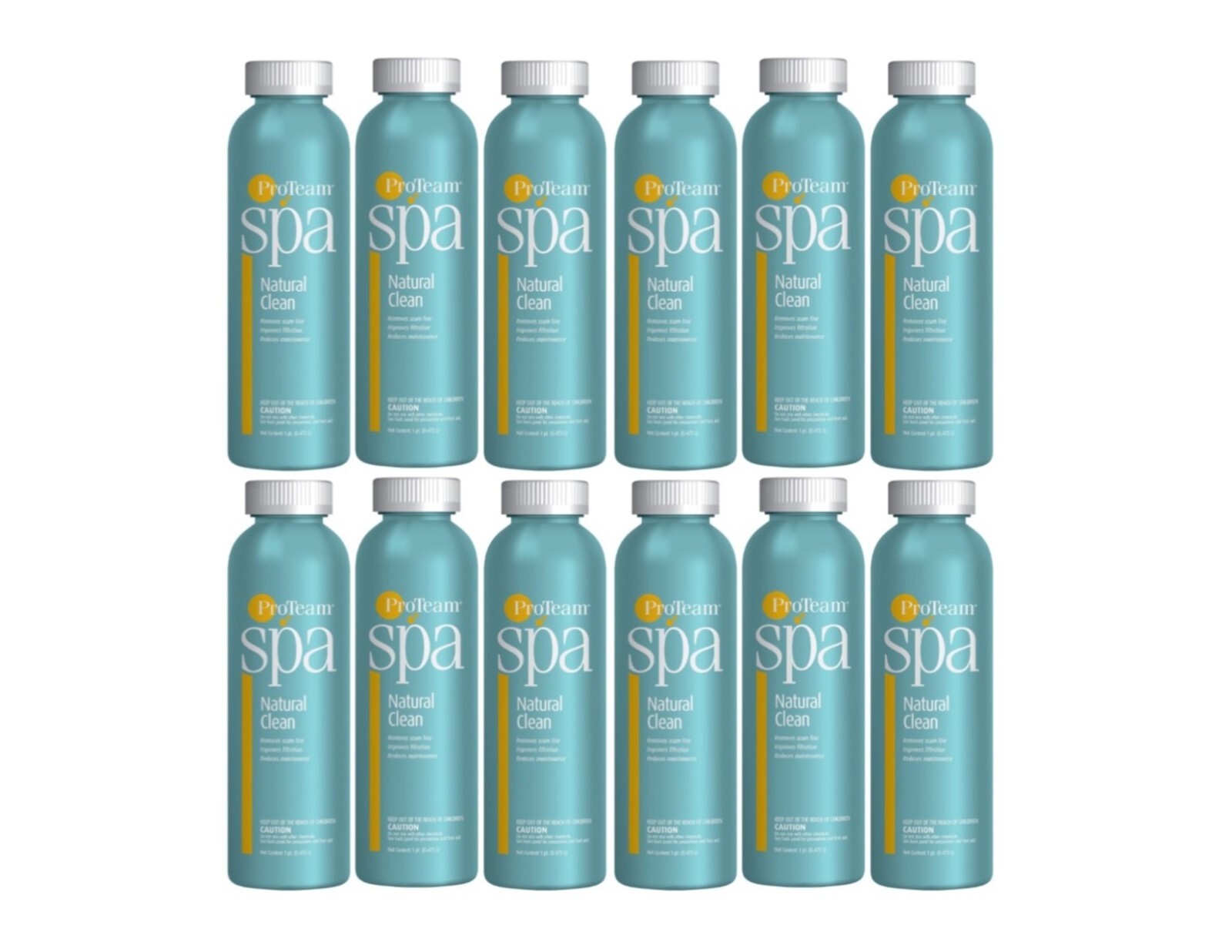 12 Proteam Natural Clean - 1 pt