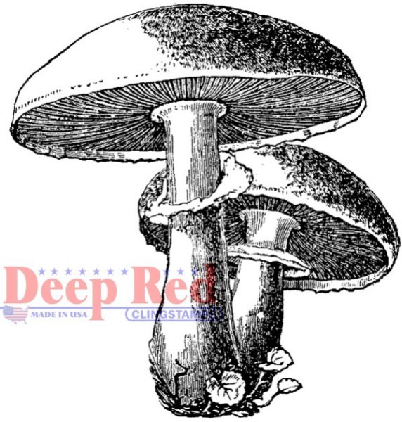 Deep Red Stamps Mushrooms Rubber Cling Stamp
