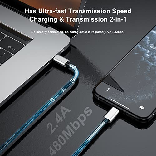2Pack 10ft iPhone Fast Charger Cable, [Apple MFi 10 Feet Lightning Silver