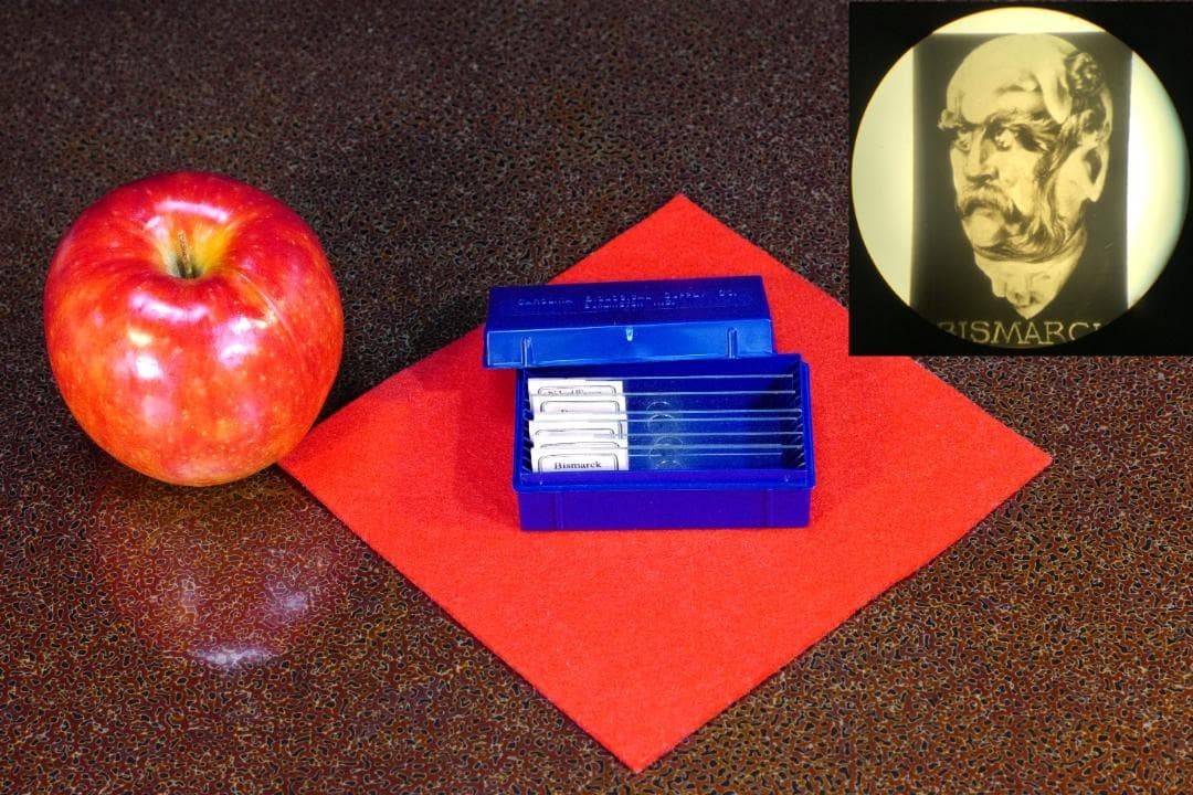 Antique Microscope Slide Set Metamorphic Bismarck Bernhardt Picasso Wagner c2001