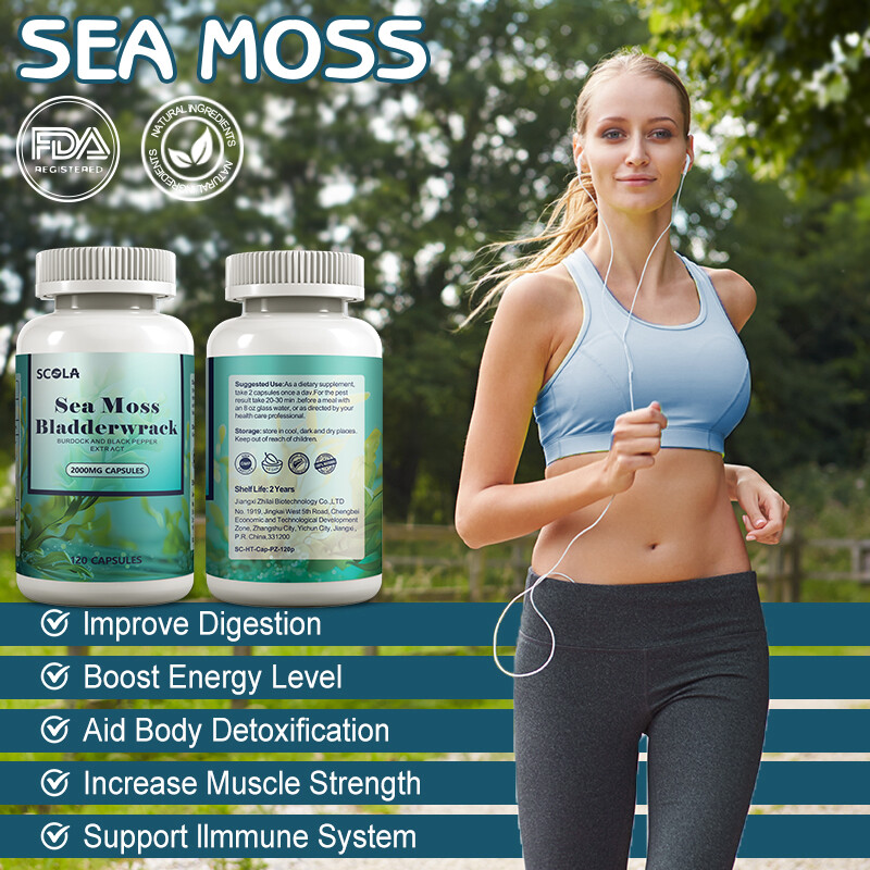 (120 PCS) Irish Sea Moss, Bladderwrack & Burdock, Thyroid, Immune Energy Support