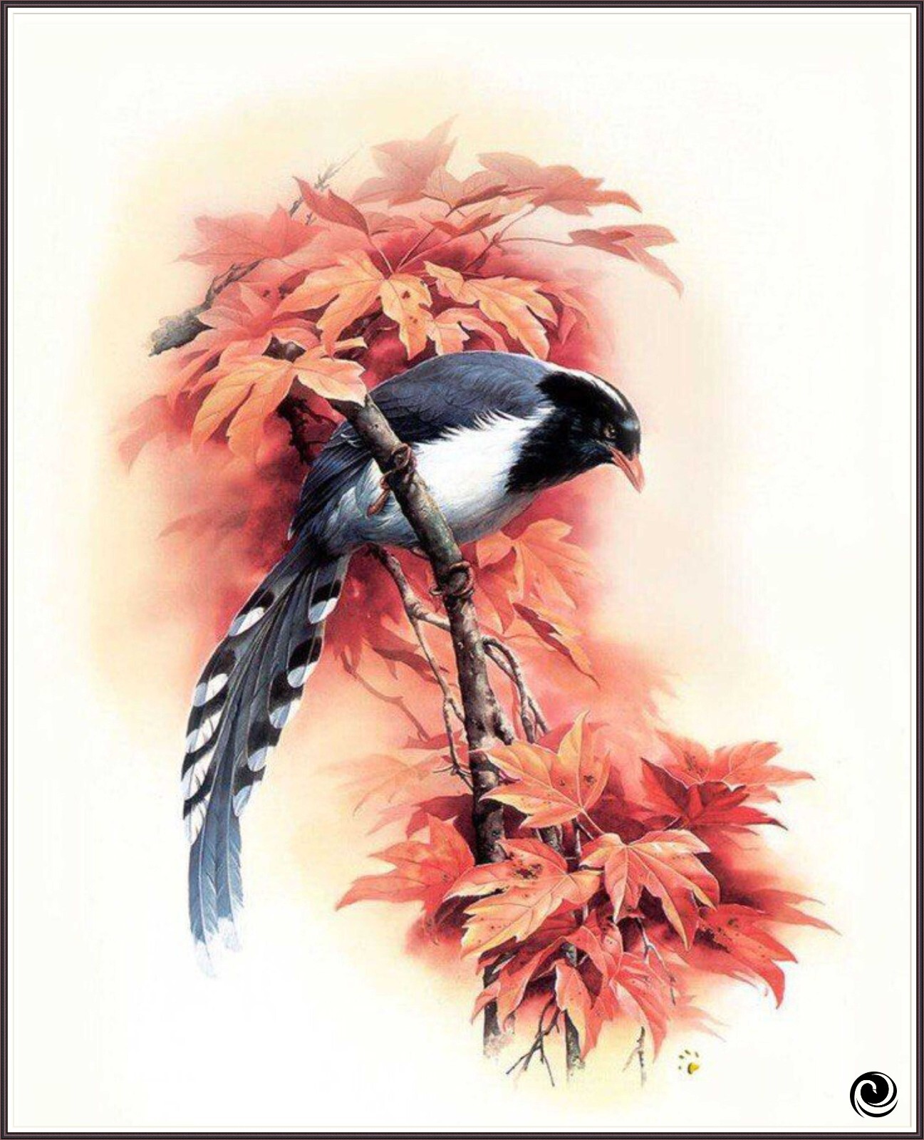 Magpie  1323 - Chart Counted Cross Stitch Pattern Needlework Xstitch