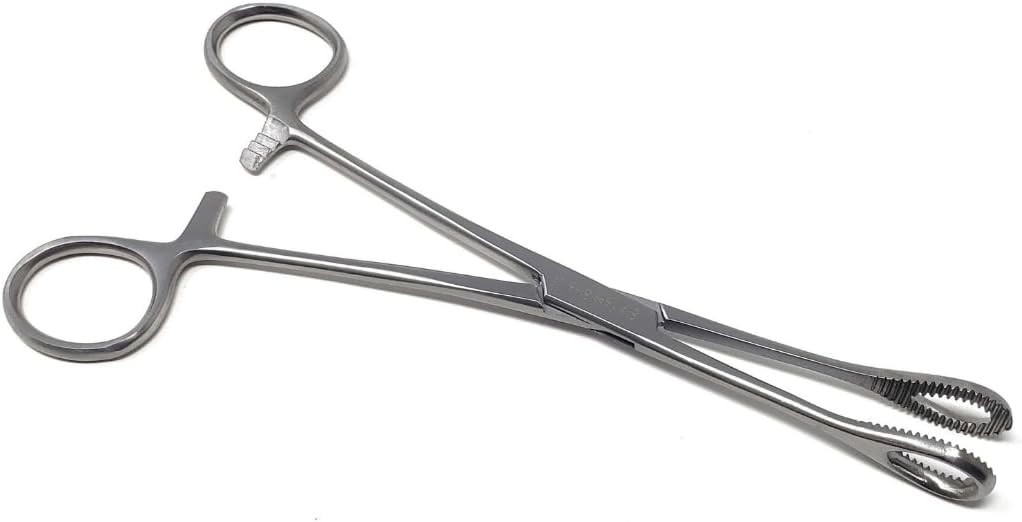 Foerster Sponge Forceps 7″ Stainless Steel w/Serrated Loops for Surgical,Vet Use