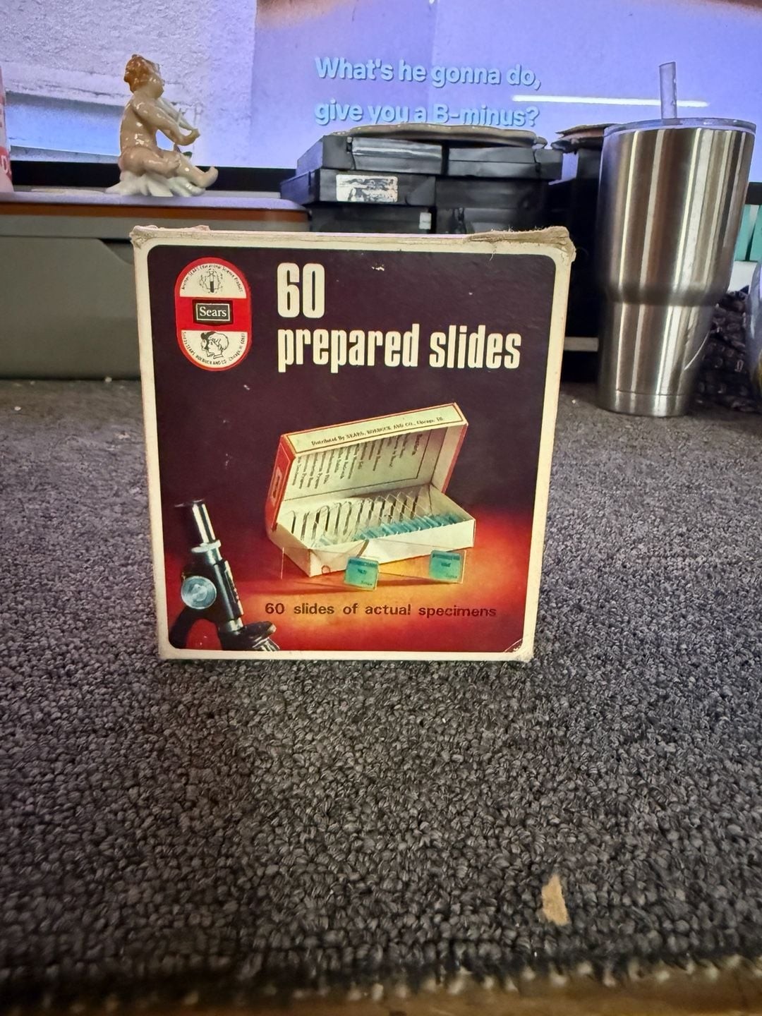 Vintage Sears 60 Prepared Microscope Slides Educational Specimen Set