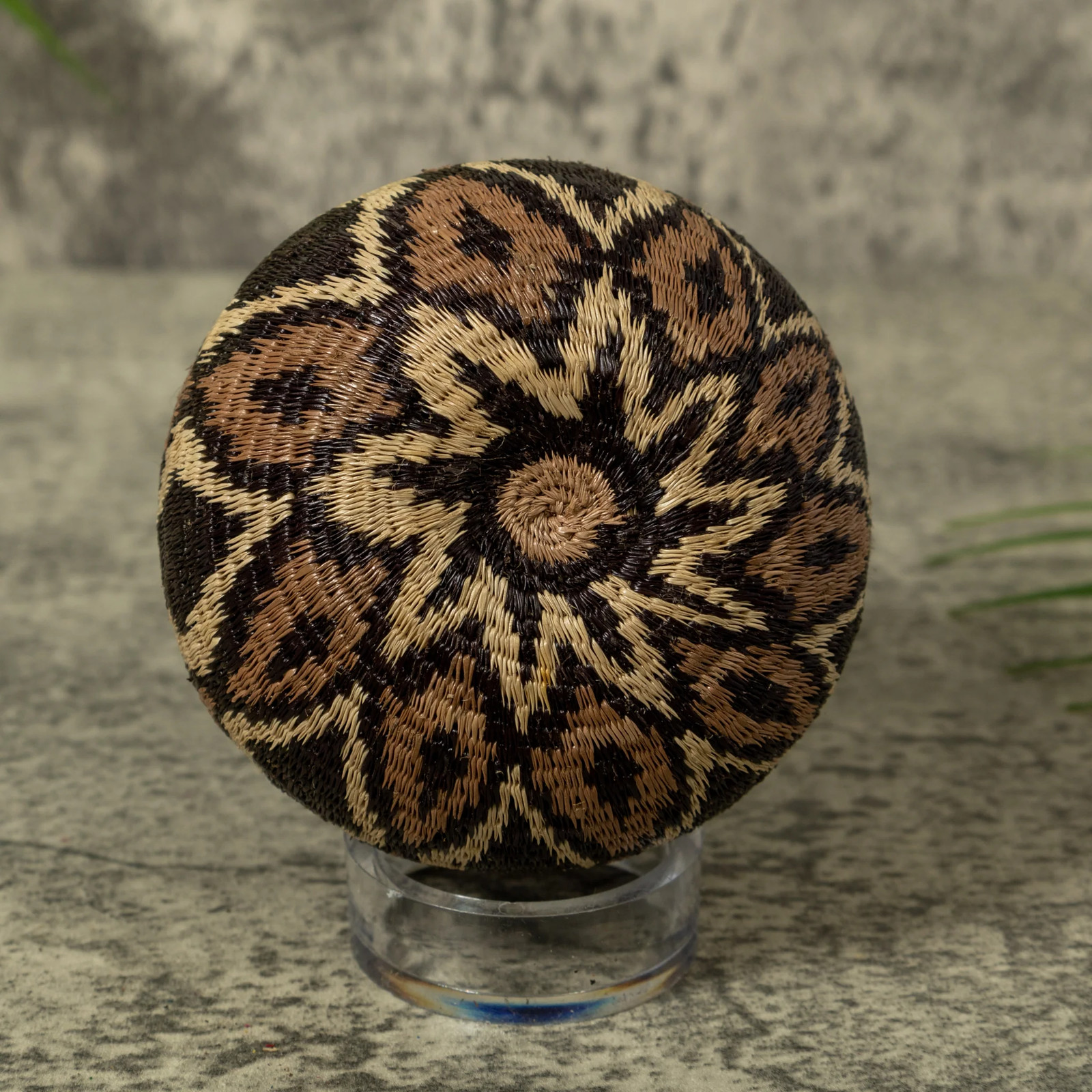 Brown And Black Forest Whisper Rainforest Basket