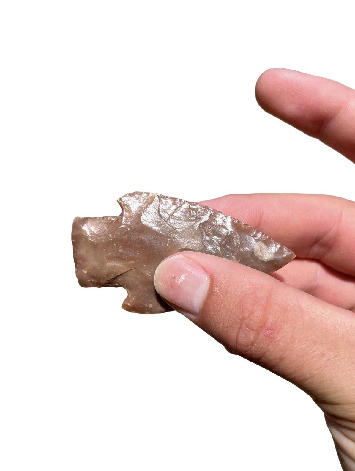 Texas Arrowhead Artifact Bulverde Lee CO.