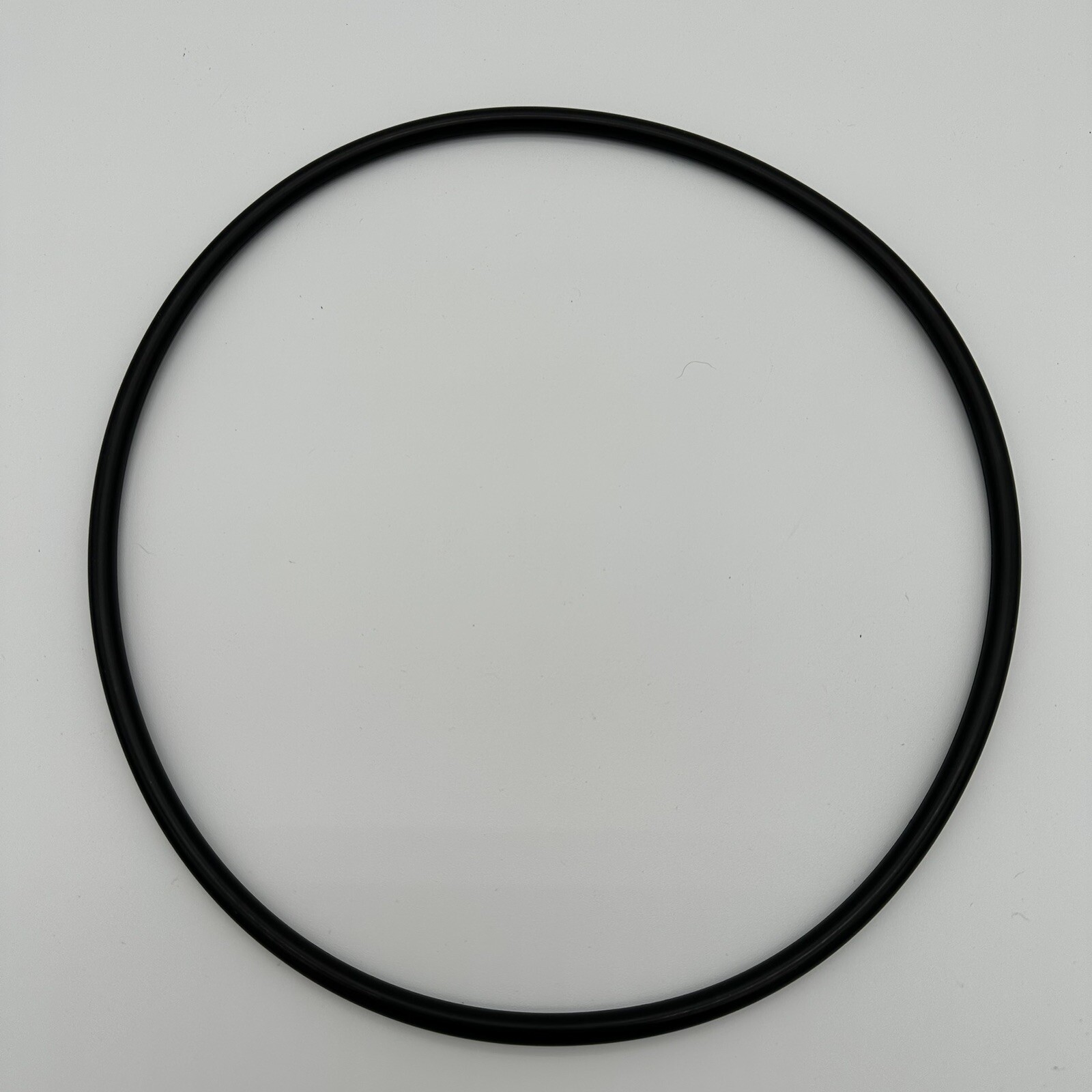 Pentair Clean & Clear Predator and Warrior Filter Pool Tank O-ring 87300400