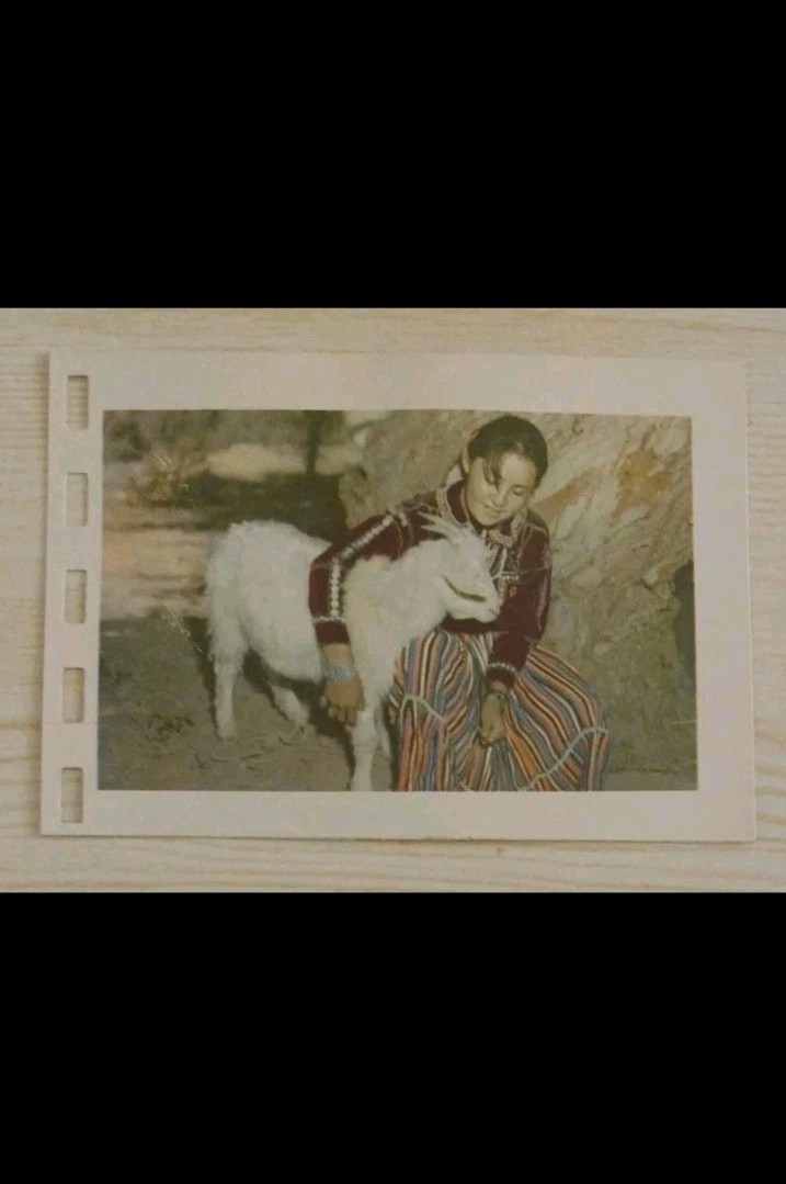 Navajo Indian Girl Playing With Goat~Miniature Souvenir~Vintage Photo Card