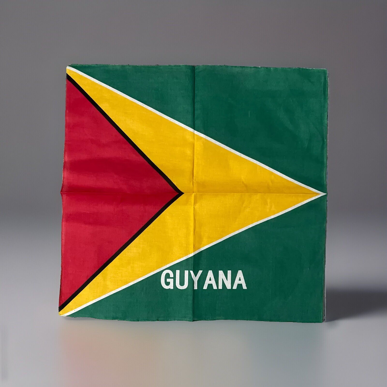 Guyanese Flag Bandana Scarf Country Guyana Face Mask Culture Covers