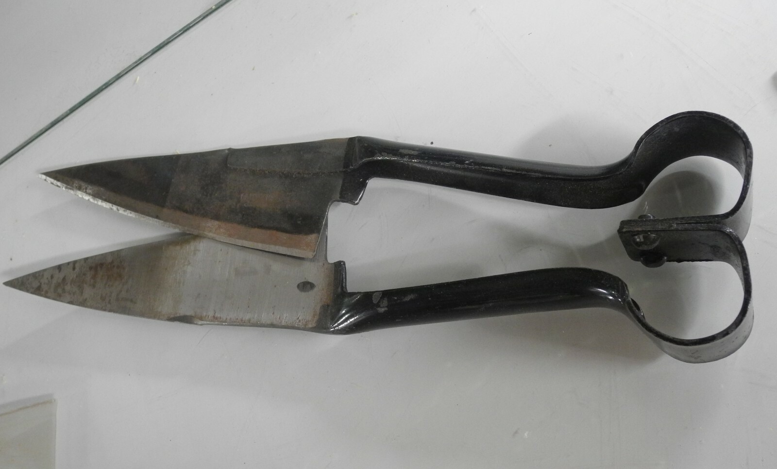Vintage Old-Fashioned Grass Shears supper sharp 12in long with extra scissors