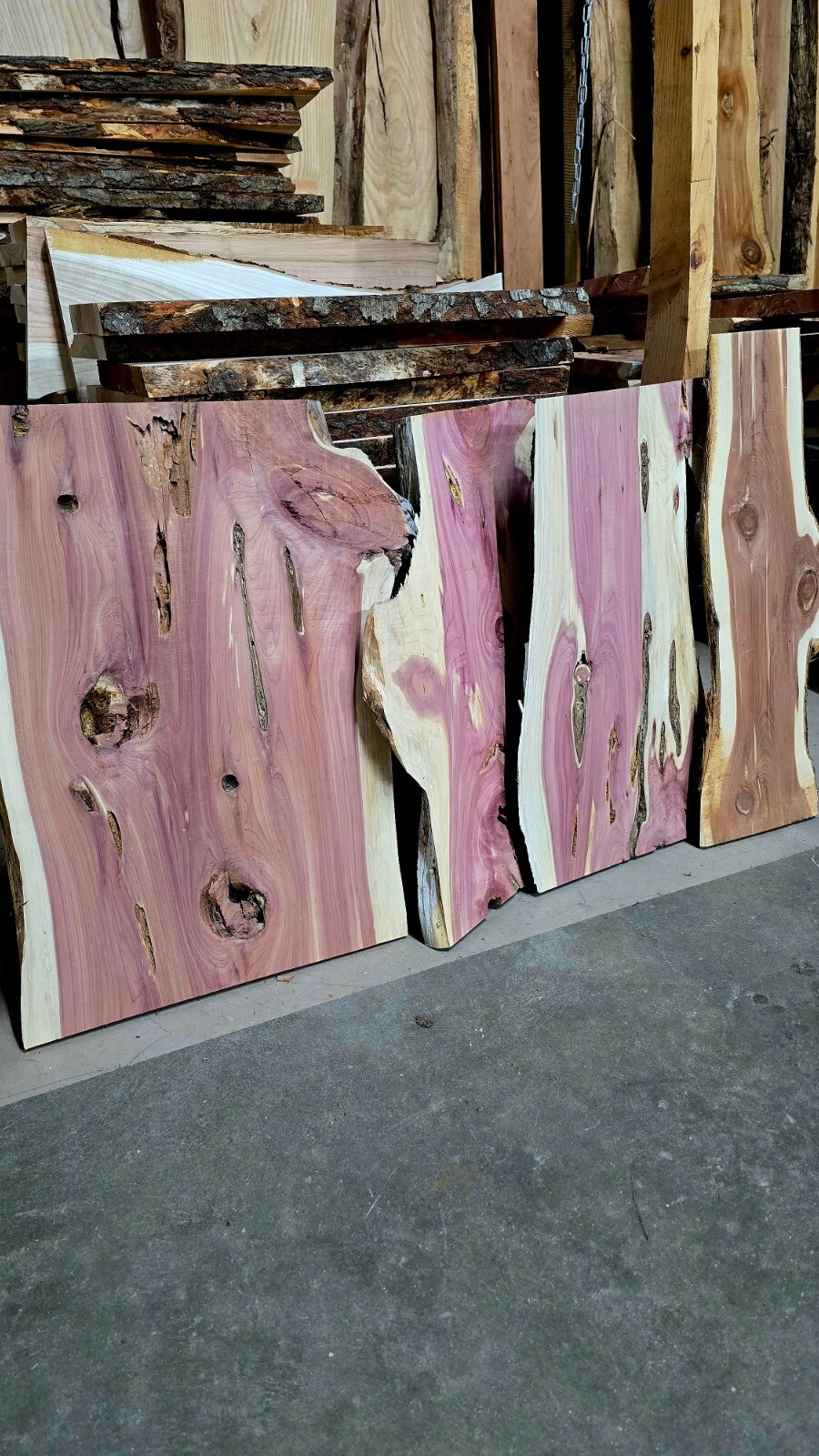 Cedar Live  Edge Craft Stock Ships Free