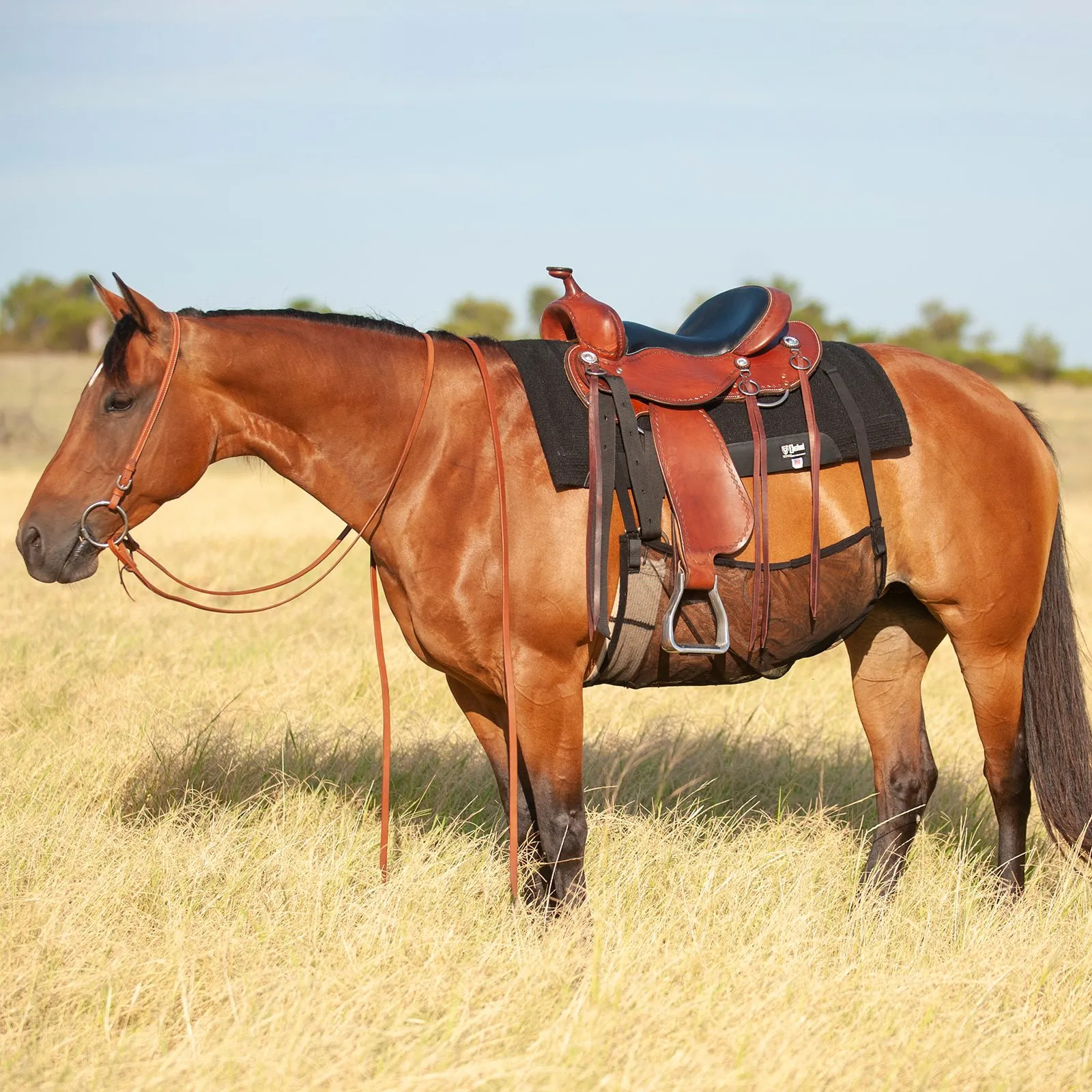 Cashel Quiet Ride Belly Guard - Insect Protection Under Saddle