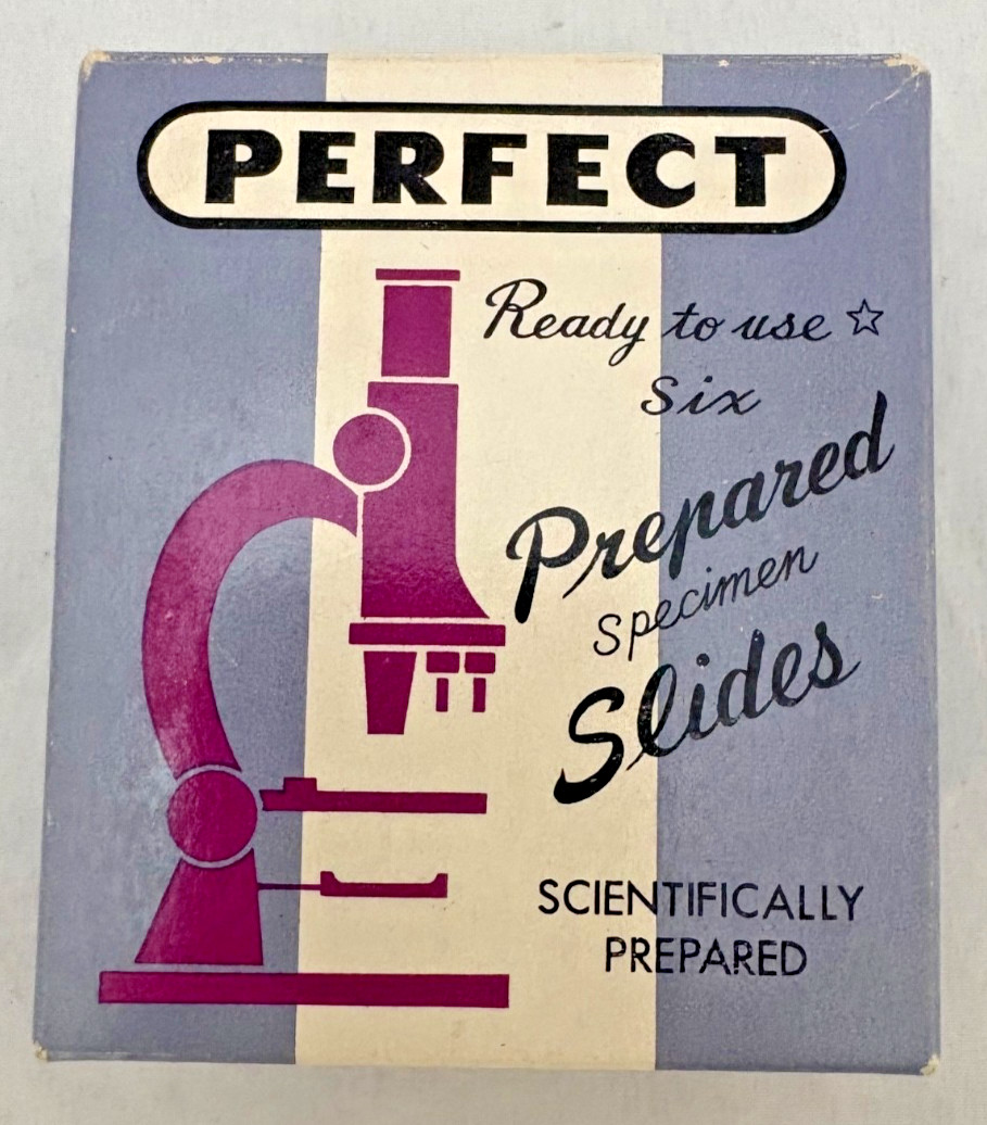 Vintage - PERFECT - Prepared Specimen Slides -Microscope - Natural Starch Grains