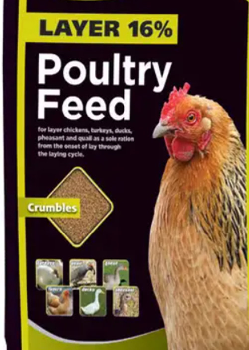 CHICKEN FEED COCK BABY CHICK Crumble Poultry Premium Laying OMEGA 3 & 6