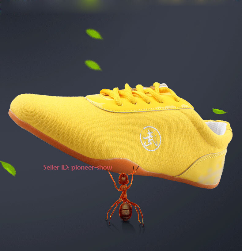 Adult Martial Arts Karate Taekwondo Shoes Kung Fu Tai Chi Boxing Comfort Shoes