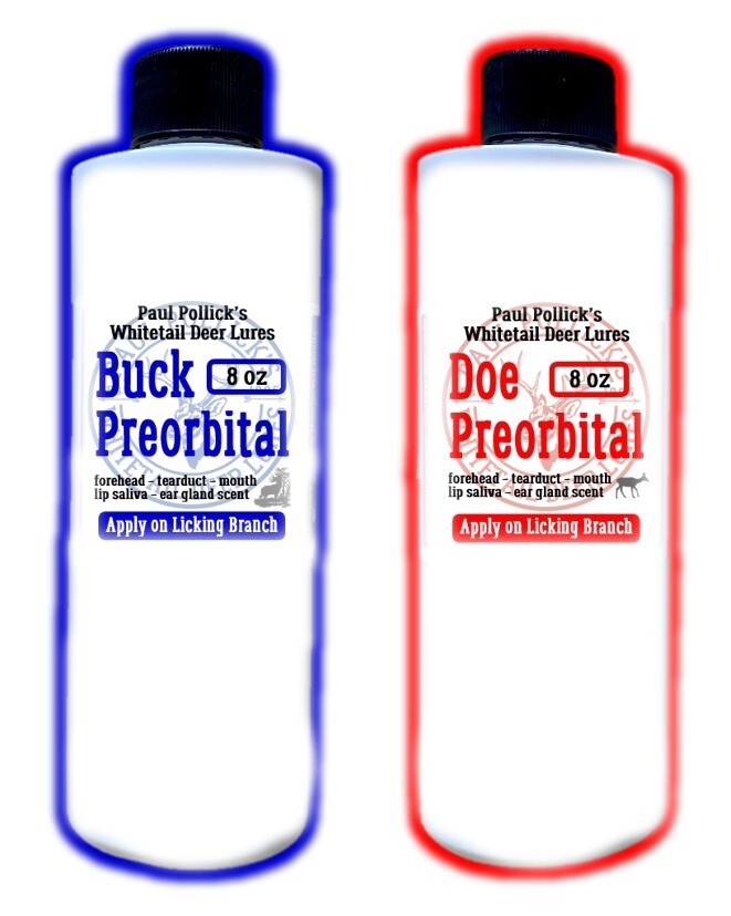 Buck or Doe Preorbital Gland 8 oz Liquid