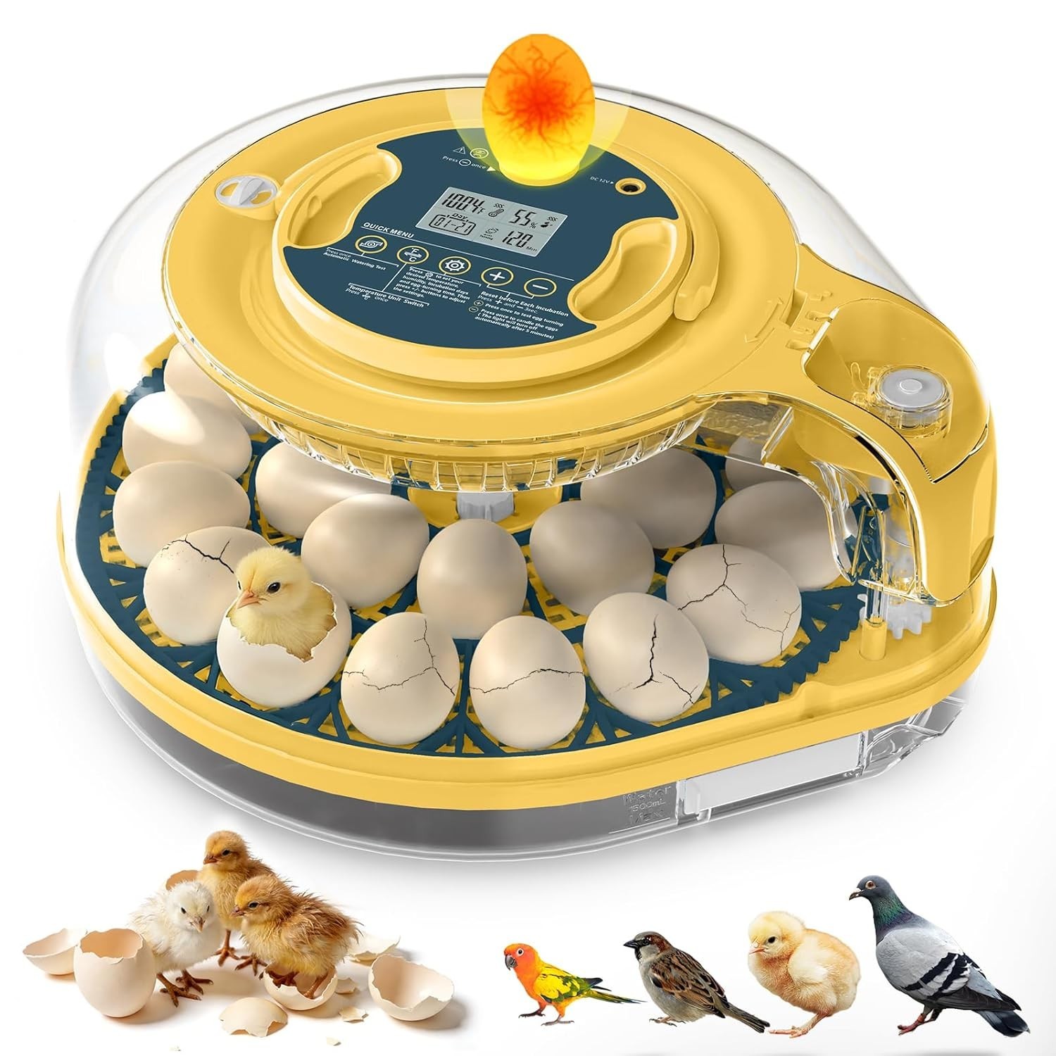 Incubators for Hatching Eggs, Egg Incubator with Automatic Egg Turning and Humid