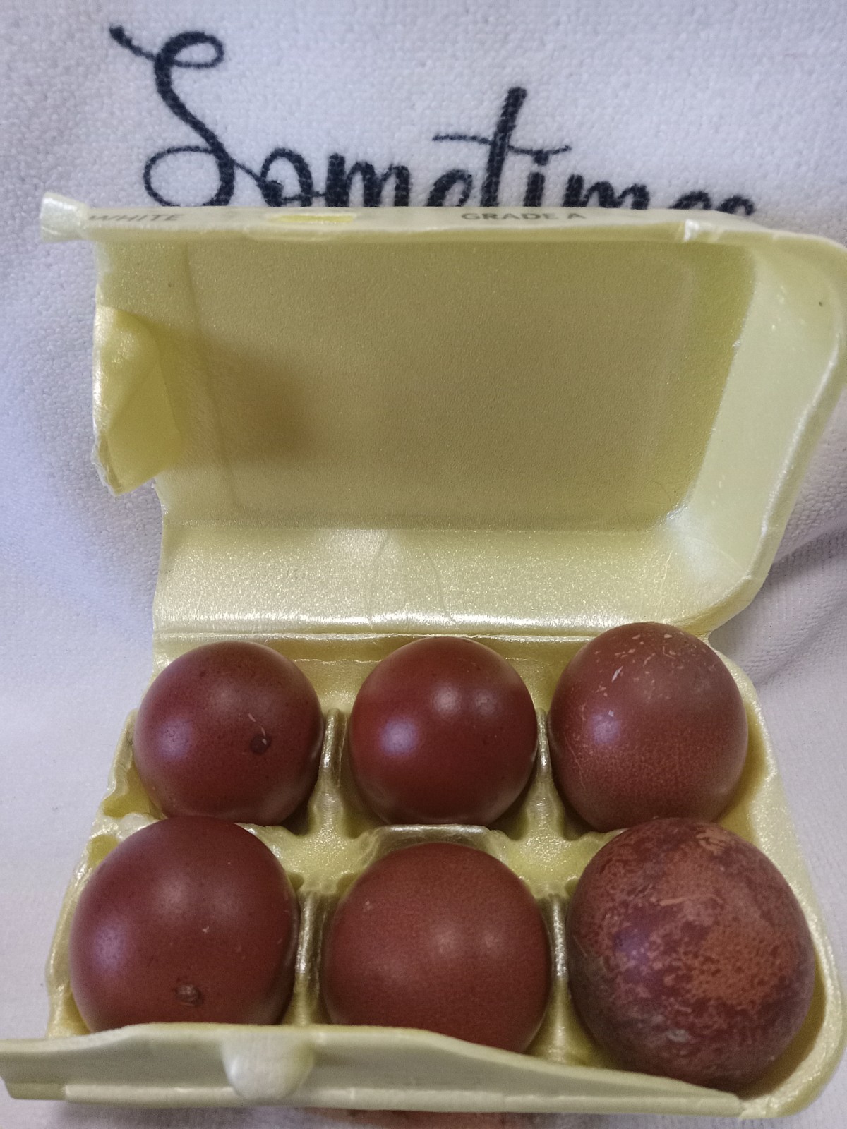 8+french black copper maran eggs
