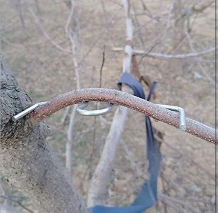 Fruit Tree Branch SpreaderTree Branch Limb Spreader Bonsai Branch Training Mo...